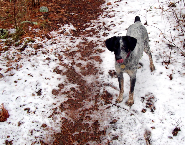 Snow Tastes Good